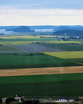 Skagit County Fields